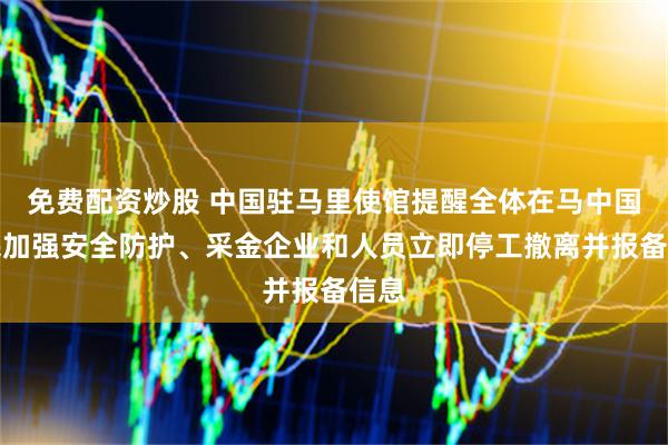 免费配资炒股 中国驻马里使馆提醒全体在马中国公民加强安全防护、采金企业和人员立即停工撤离并报备信息