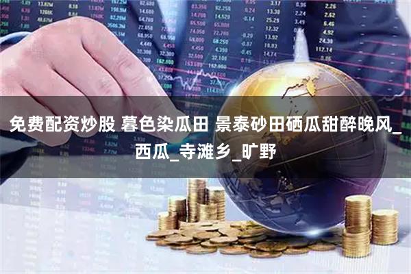 免费配资炒股 暮色染瓜田 景泰砂田硒瓜甜醉晚风_西瓜_寺滩乡_旷野
